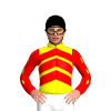 Jockey Silk