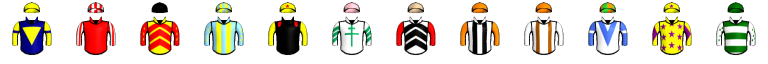 Runner silk