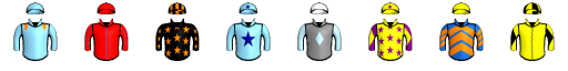 Runner silk