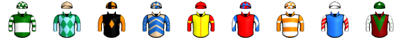 Runner silk