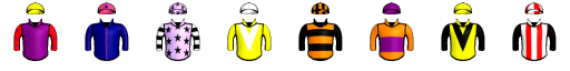 Runner silk