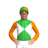Jockey Silk