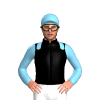 Jockey Silk