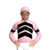 Jockey Silk