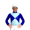 Jockey Silk