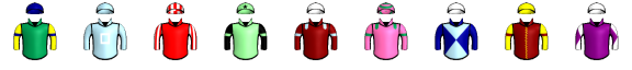 Runner silk