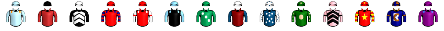 Runner silk