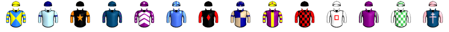 Runner silk