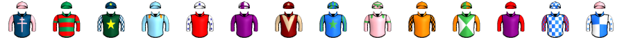 Runner silk