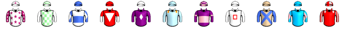 Runner silk