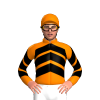 Jockey Silk