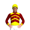 Jockey Silk