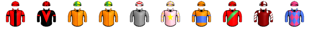 Runner silk
