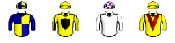 Runner silk