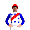 Jockey Silk