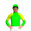 Jockey Silk