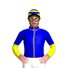 Jockey Silk