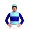 Jockey Silk