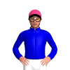 Jockey Silk