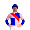 Jockey Silk