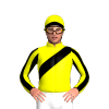 Jockey Silk