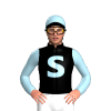 Jockey Silk