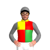 Jockey Silk