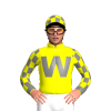 Jockey Silk