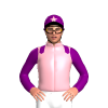 Jockey Silk