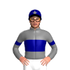 Jockey Silk