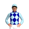 Jockey Silk
