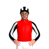Jockey Silk