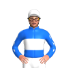 Jockey Silk