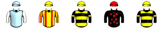 Runner silk