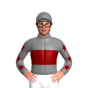 Jockey Silk