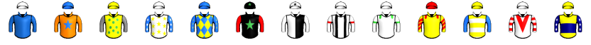 Runner silk
