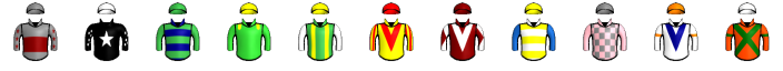 Runner silk