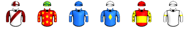Runner silk