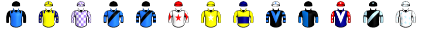 Runner silk