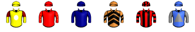 Runner silk