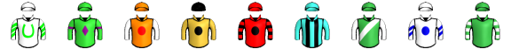 Runner silk