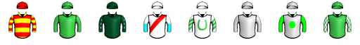 Runner silk