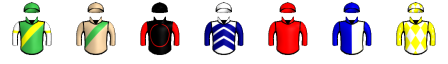 Runner silk