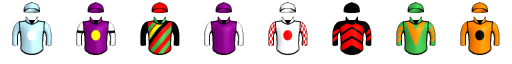 Runner silk