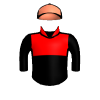 silk