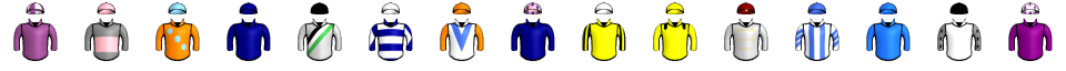 Runner silk