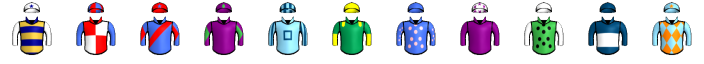 Runner silk