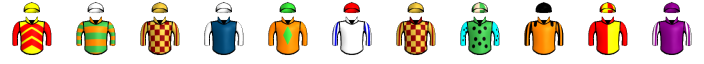 Runner silk
