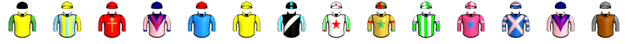 Runner silk