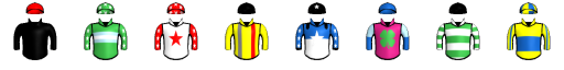Runner silk